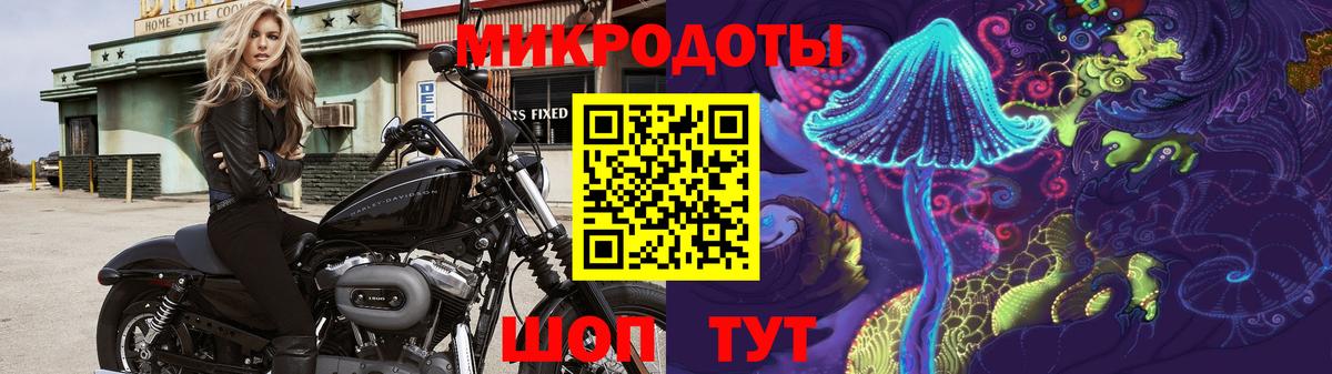 Галлюциногенные грибы Psilocybe Конаково